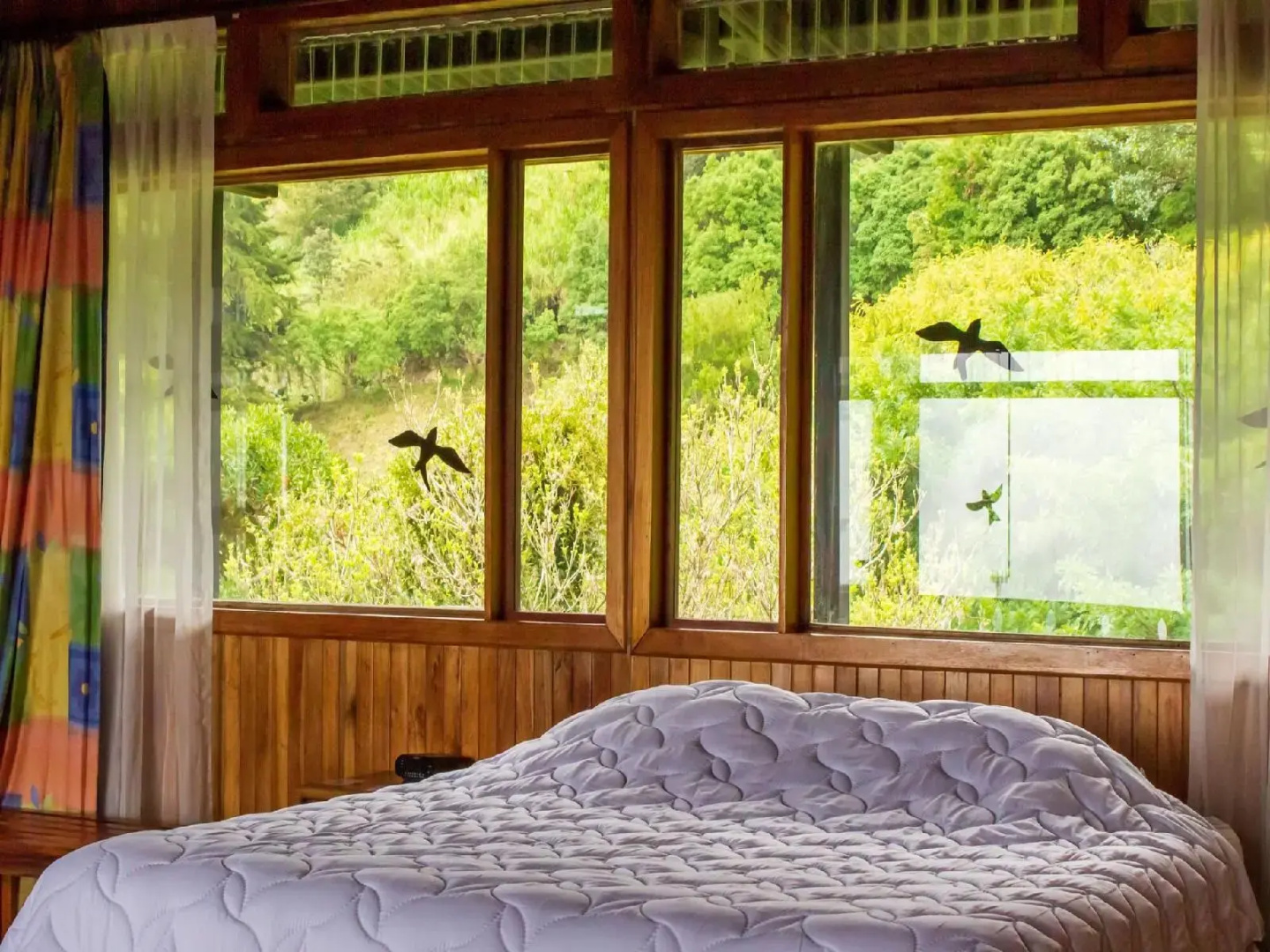 Foto - Hotel Heliconia - Monteverde