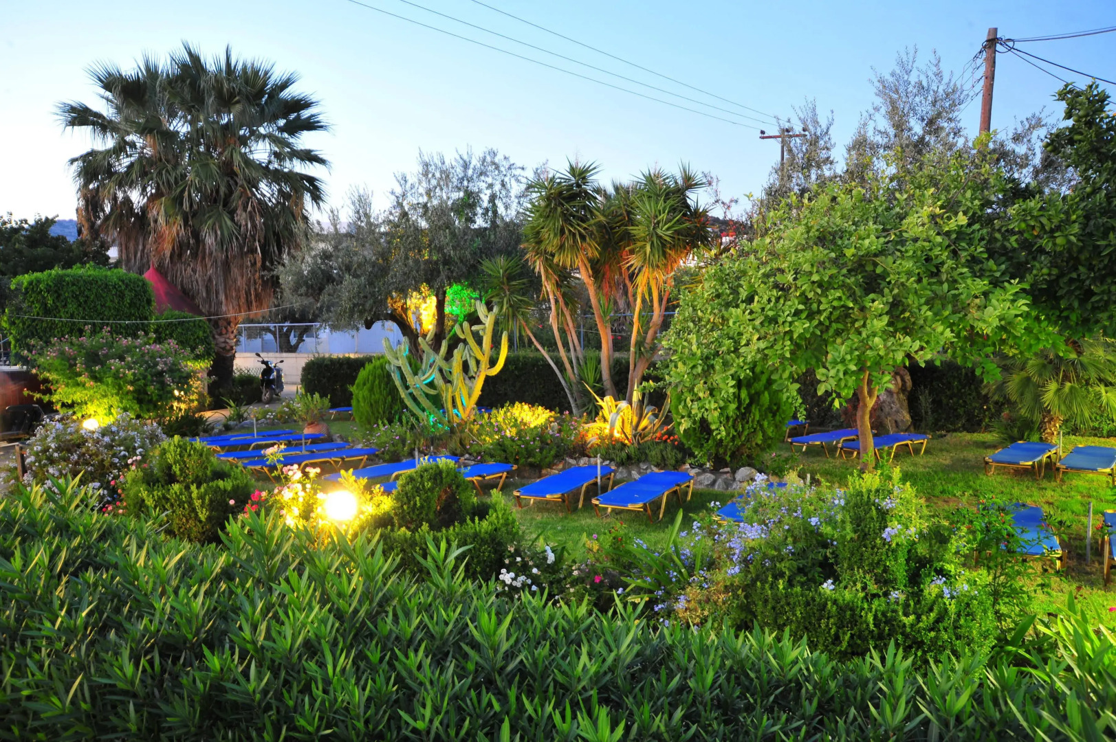 Foto - Argiro Village