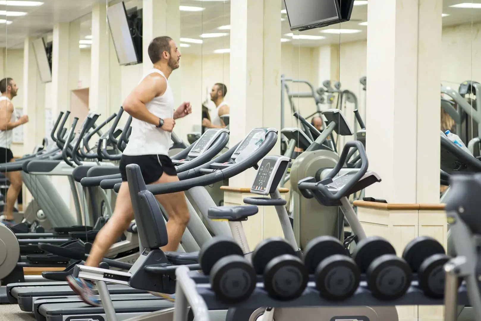 Photo - Lindner Hotel Mallorca Portals Nous, part of JdV by Hyatt