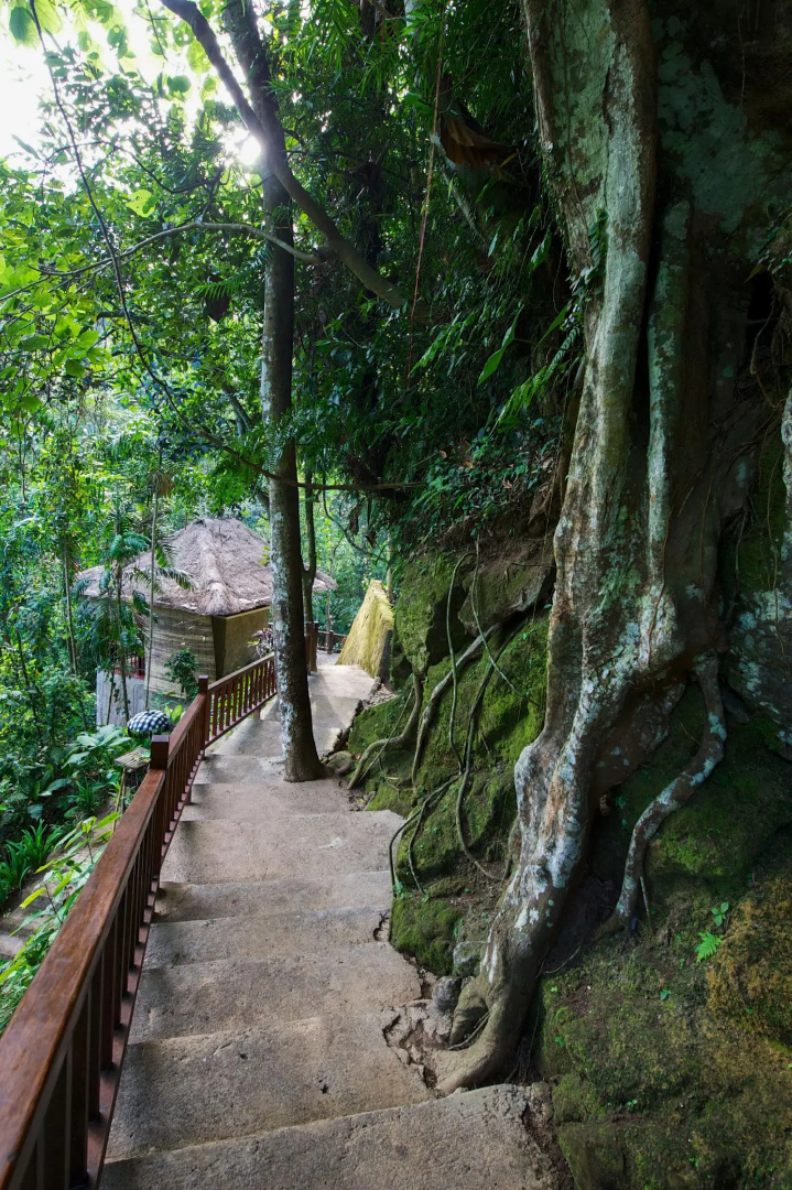 Foto - Natura Resort and Spa Ubud