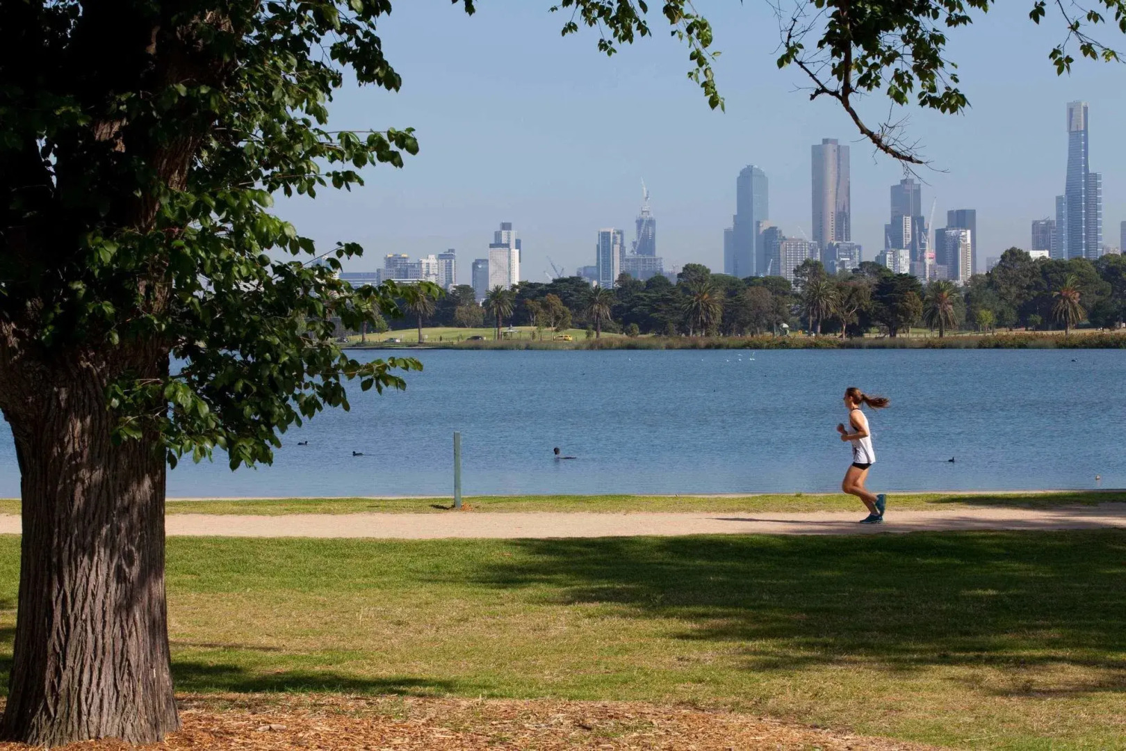 Photo - Tyrian Albert Park Lake