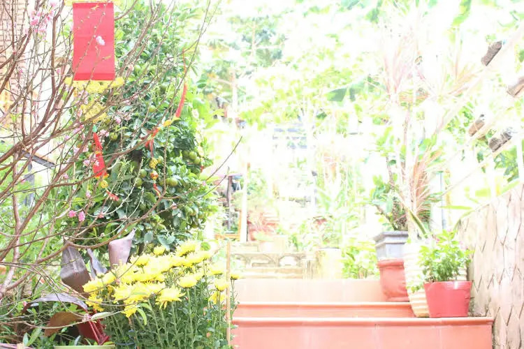 Foto - Blue Sky Phu Quoc Hotel