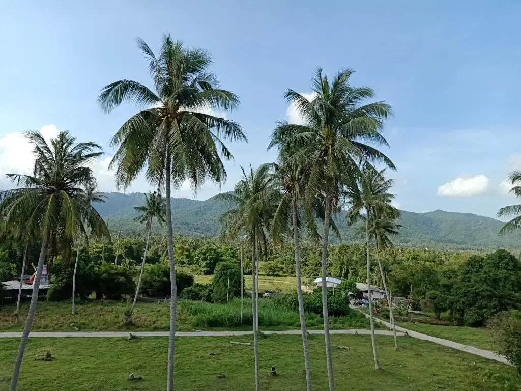 Photo - Amarin Samui Hotel