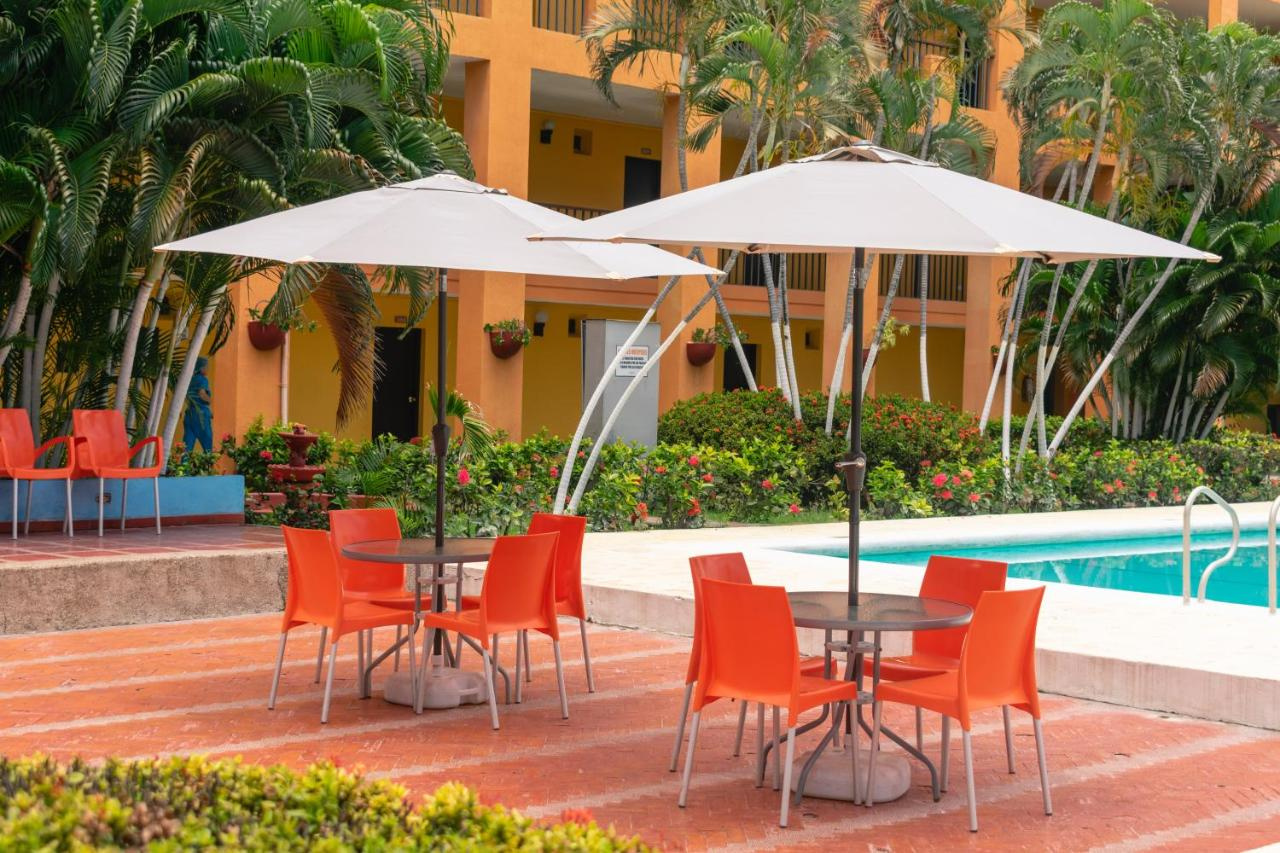 Foto - Hotel Palmarena Plaza
