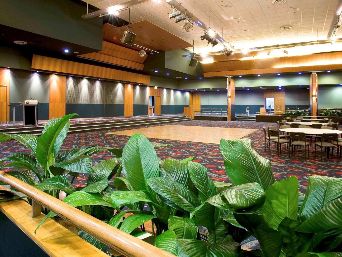 Photo - Mercure Sydney Liverpool