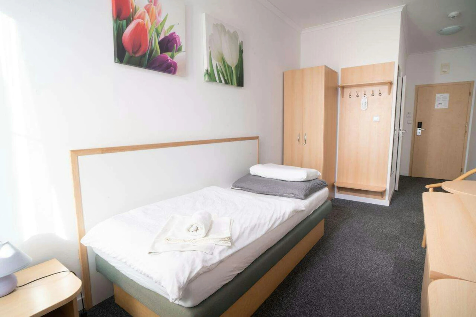 Foto - TeleDom Hotel
