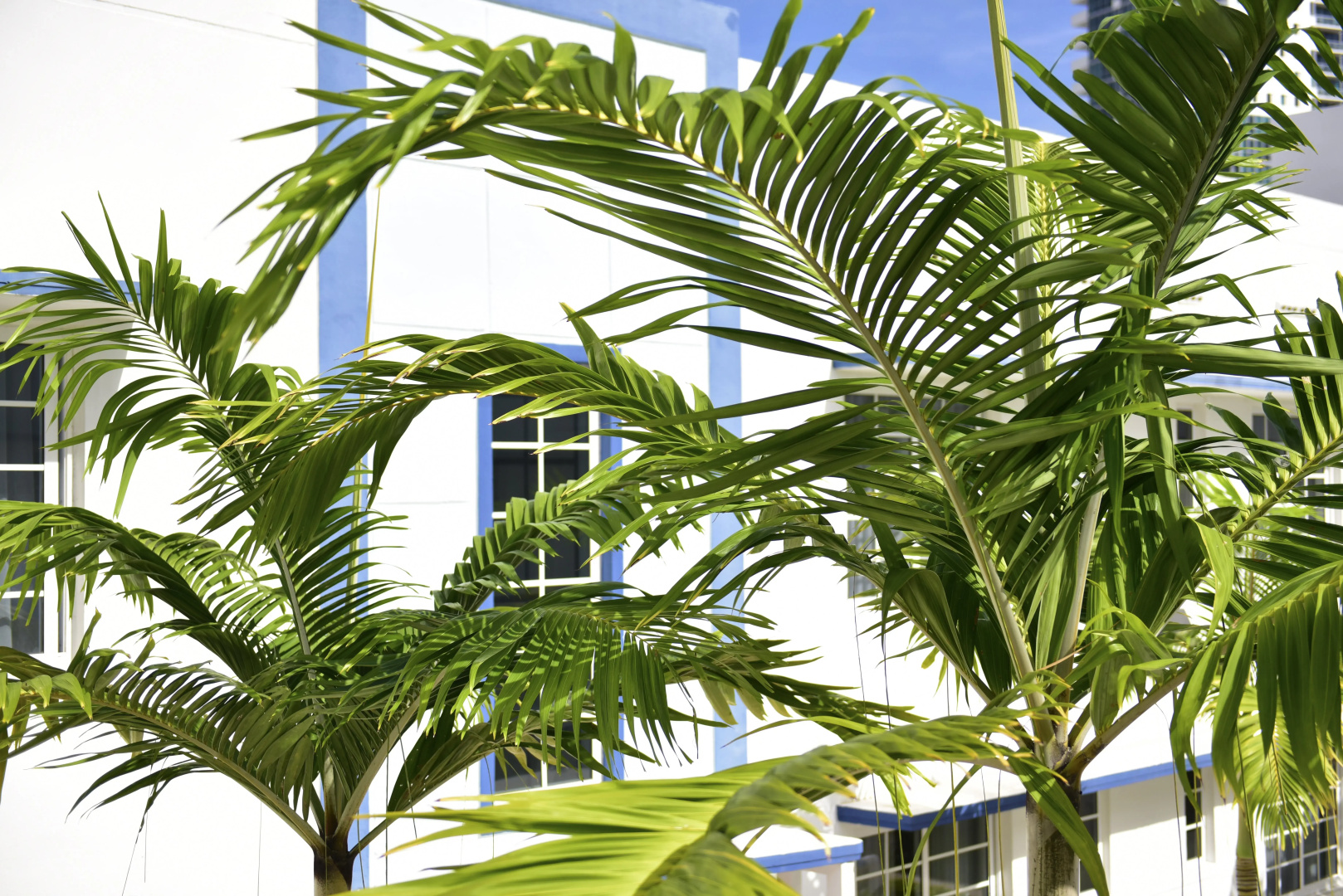 Photo - Pestana South Beach Art Deco Miami
