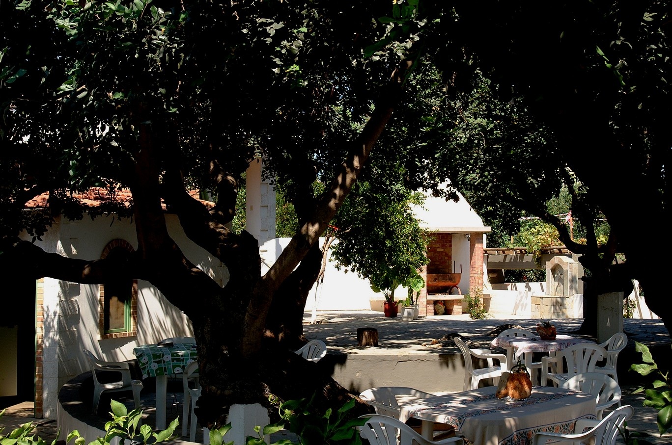 Foto - Mitos Village