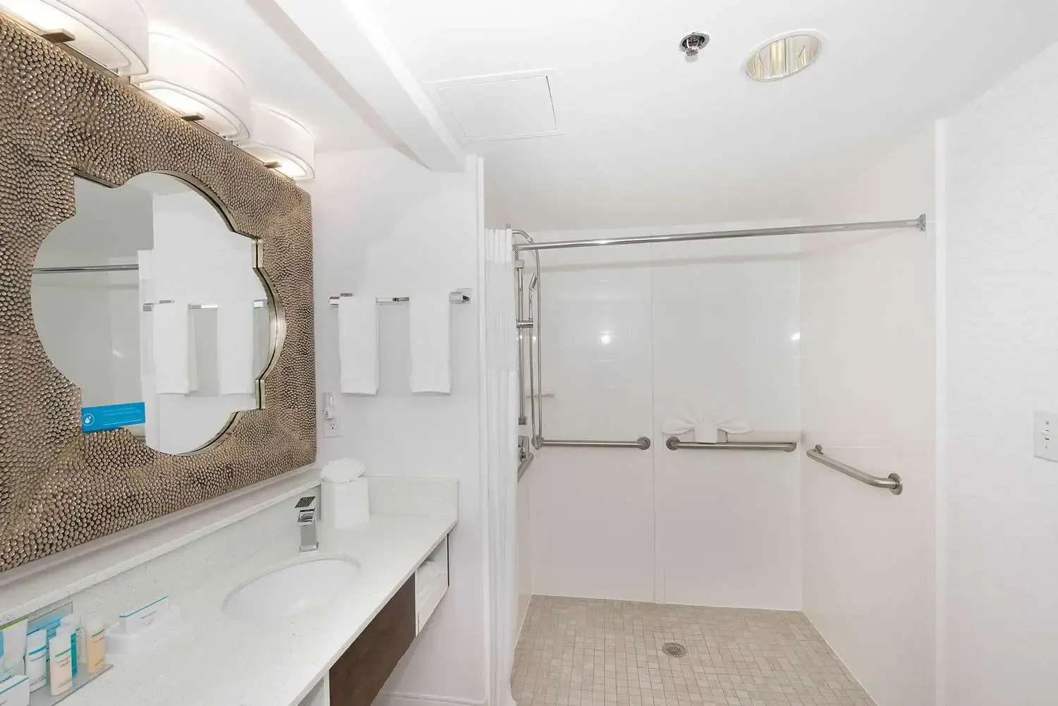 Photo - Hampton Inn & Suites Atlanta Galleria