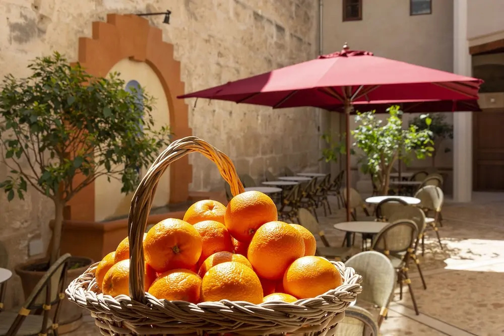 Photo - Hotel Can Cirera