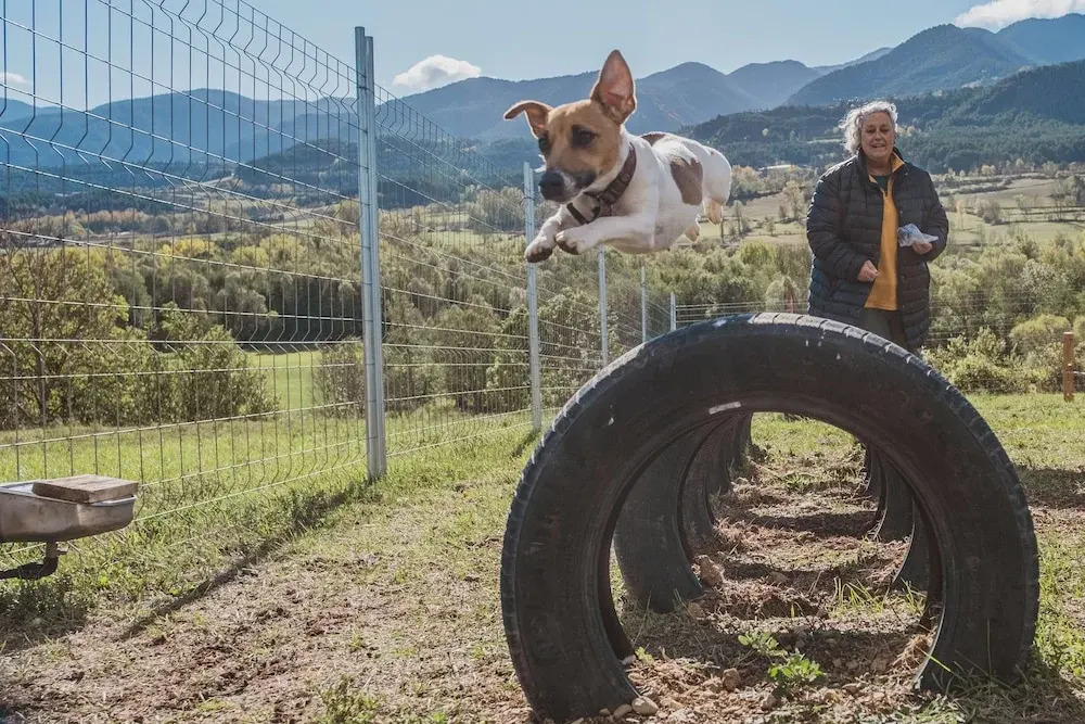 Photo - Cerdanya Viva Ecoestades
