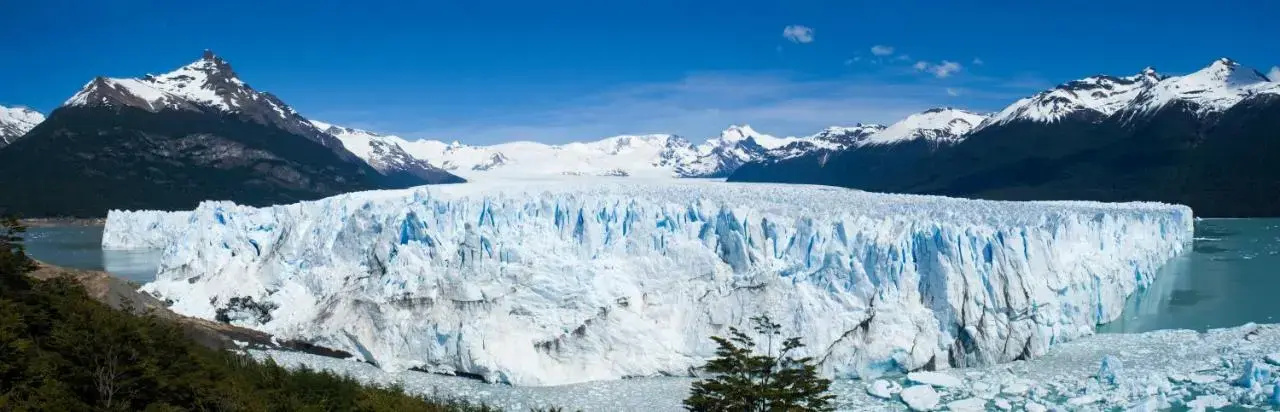 Foto - Sent Calafate
