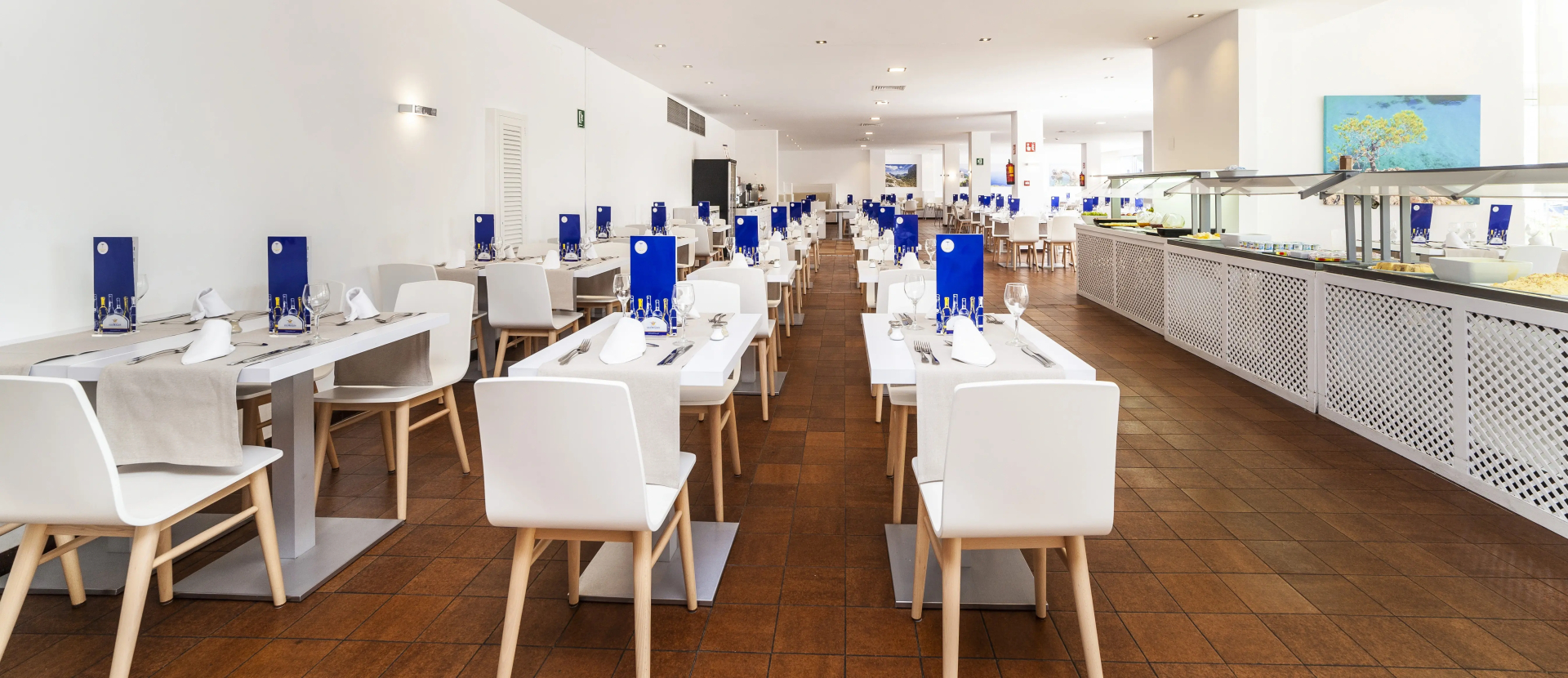 Foto - Globales Mimosa