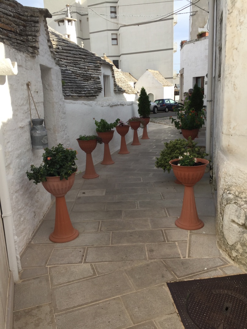 Photo - Giardino dei Trulli