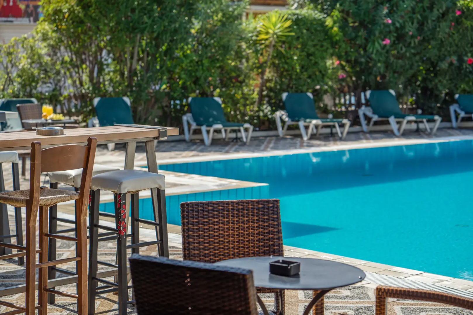Foto - Cactus Hotel-NEW