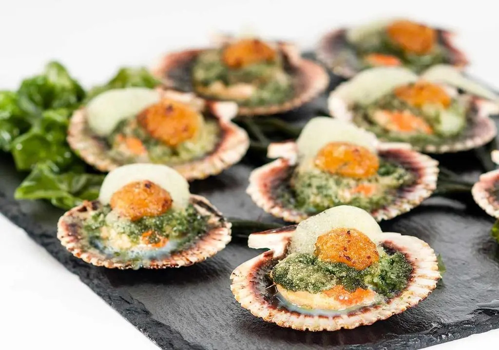 Foto - Talaso Atlántico