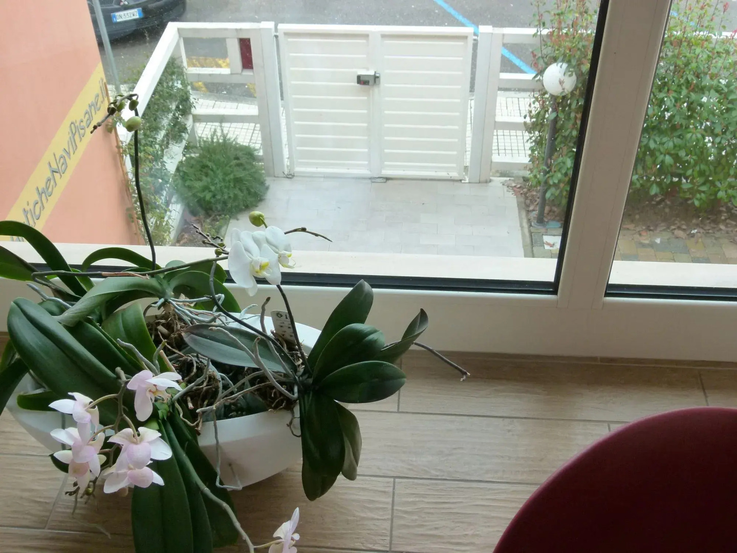 Photo - Vele Storiche Pisane - free private parking