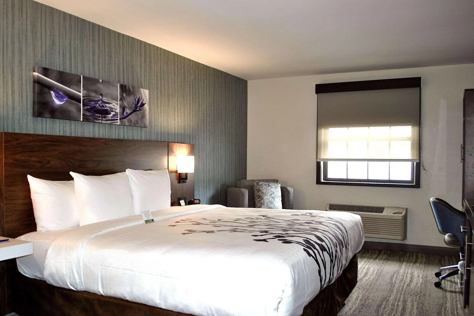 Foto - Sleep Inn Oakbrook Terrace - Chicago