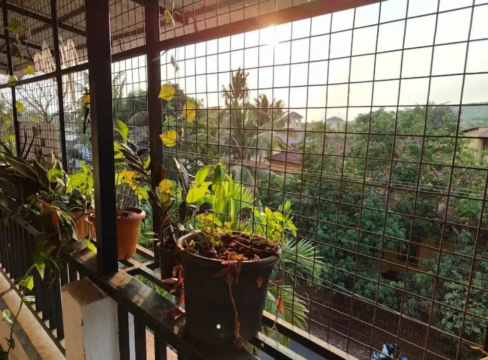 Photo - Askava Homestays