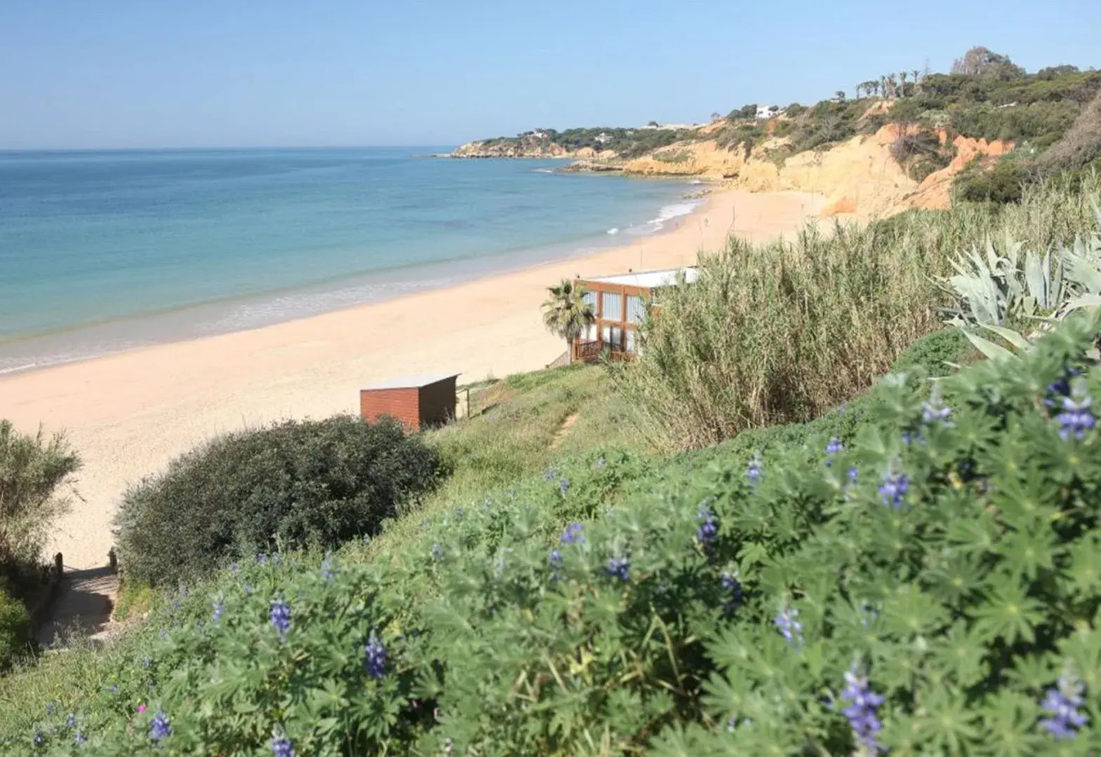 Foto - Clube Maria Luisa