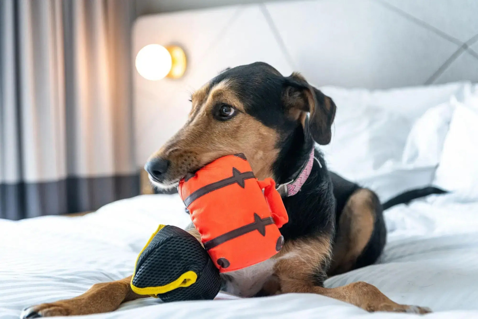 Foto - Residence Inn by Marriott Slough