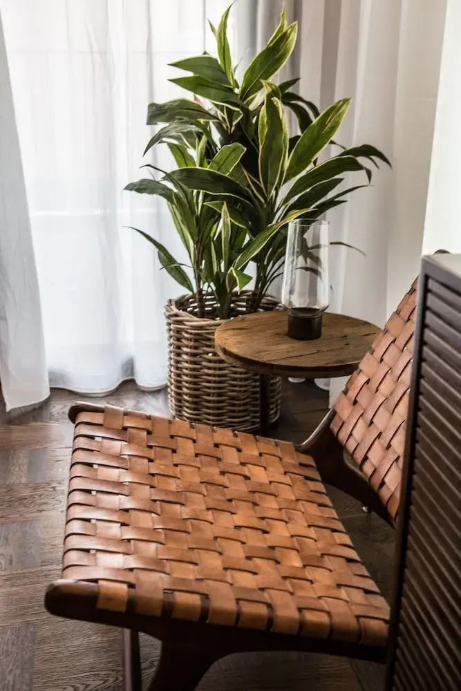 Photo - Terreno Suites