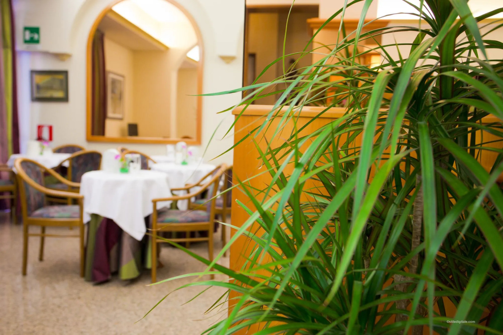 Photo - Hotel Blumen Collection by GSA Hotels