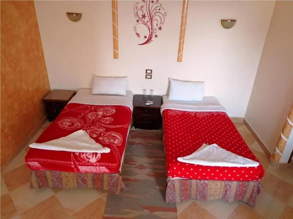 Foto - Nile Valley Hotel