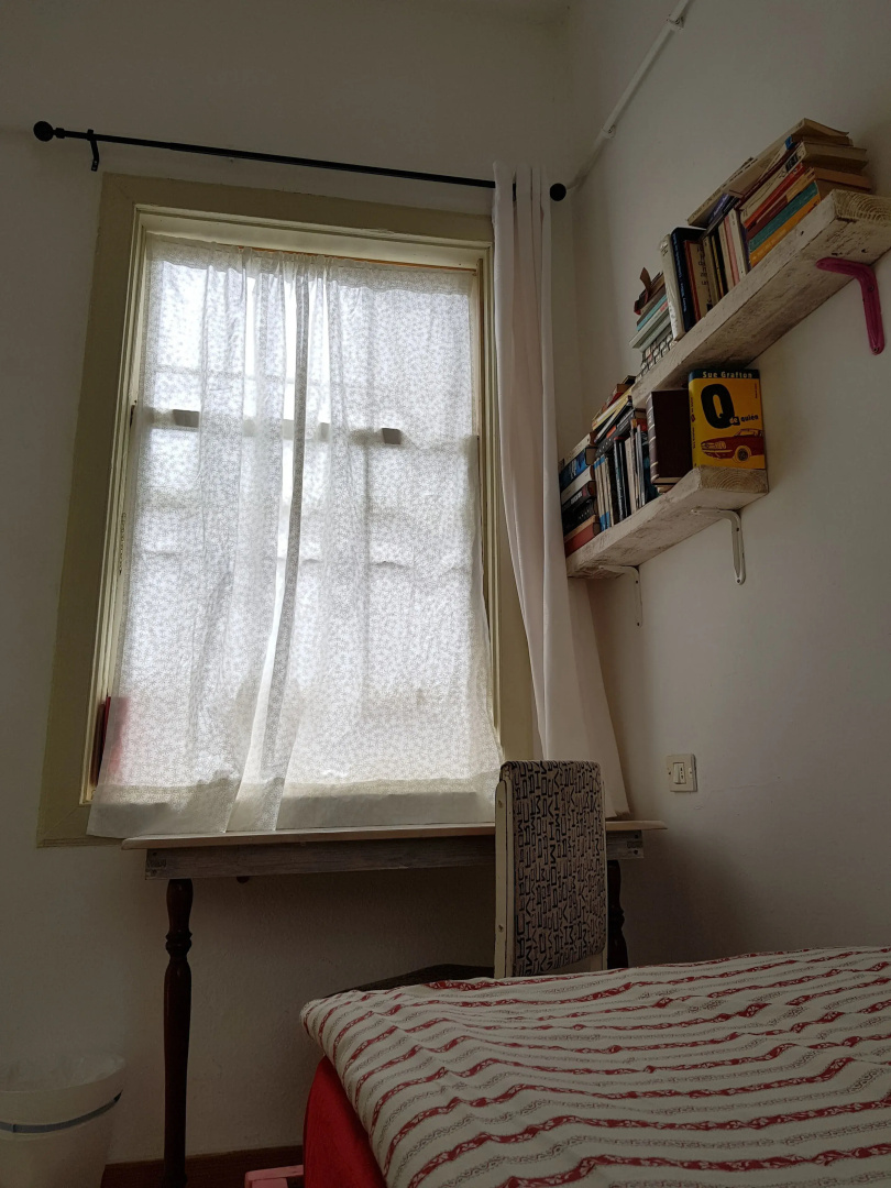 Photo - Ratones de Biblioteca