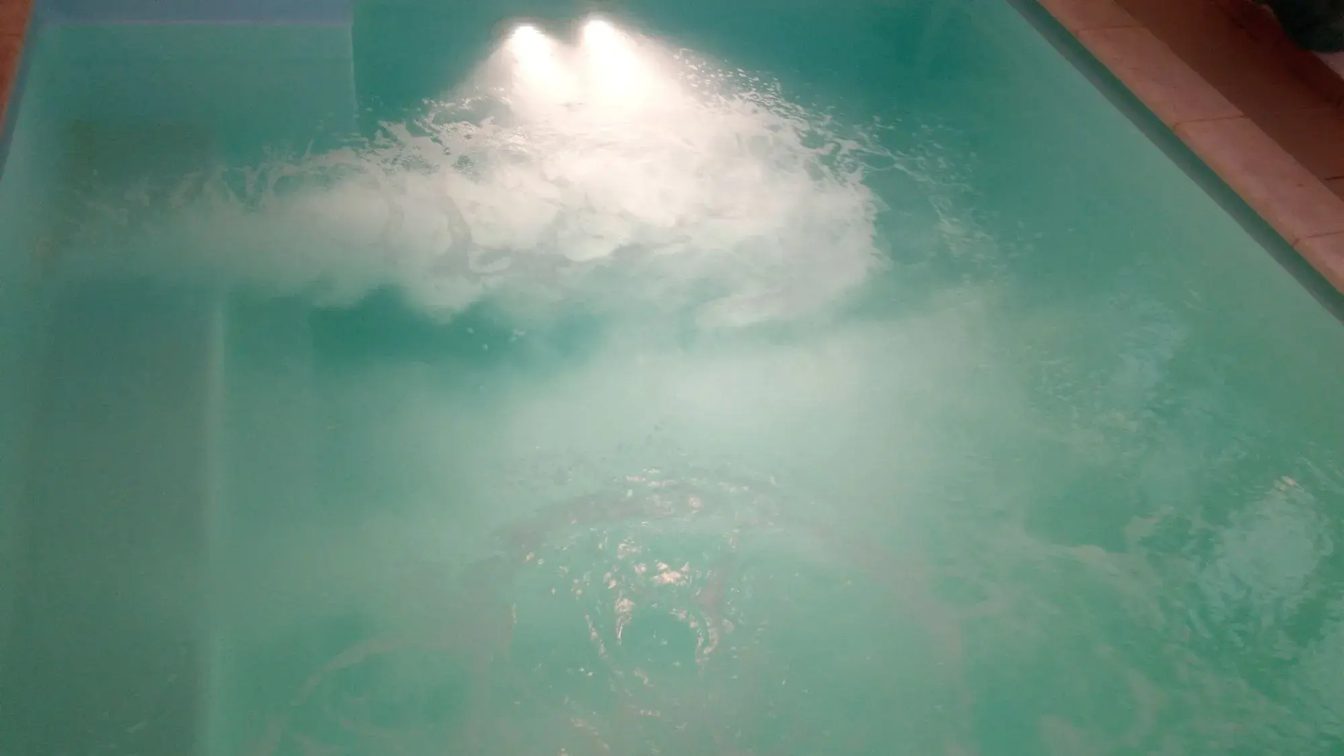 Photo - Georgia Mare