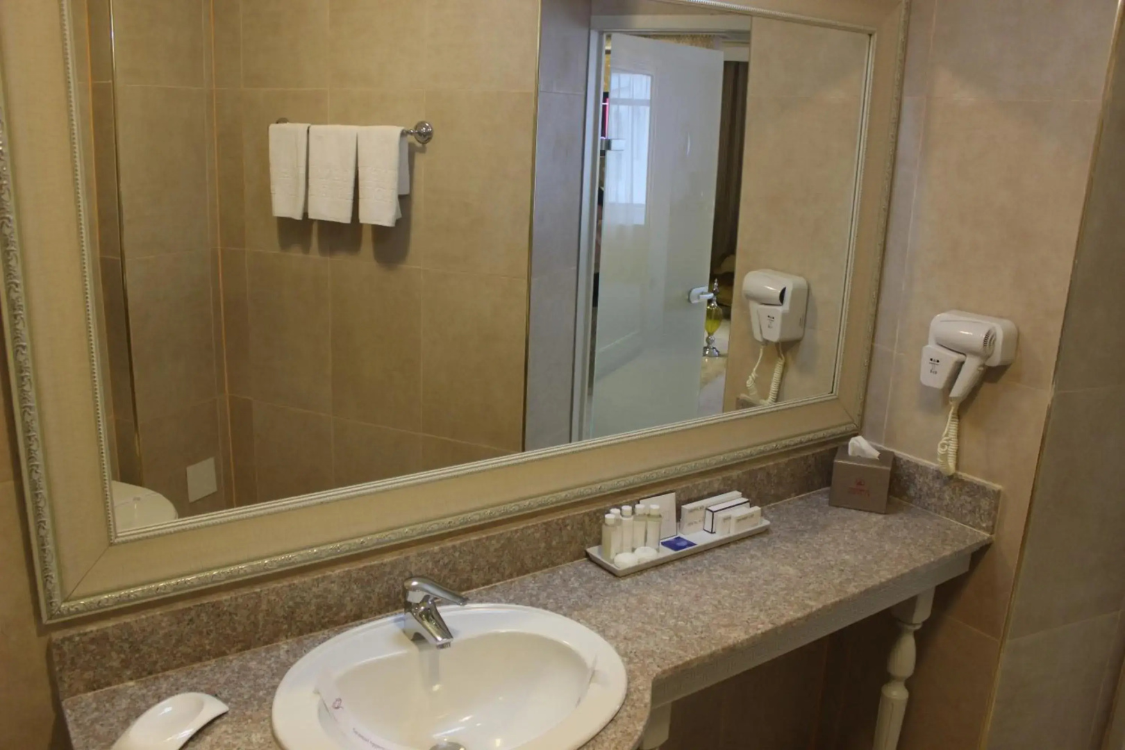 Foto - Phoenicia Grand Hotel