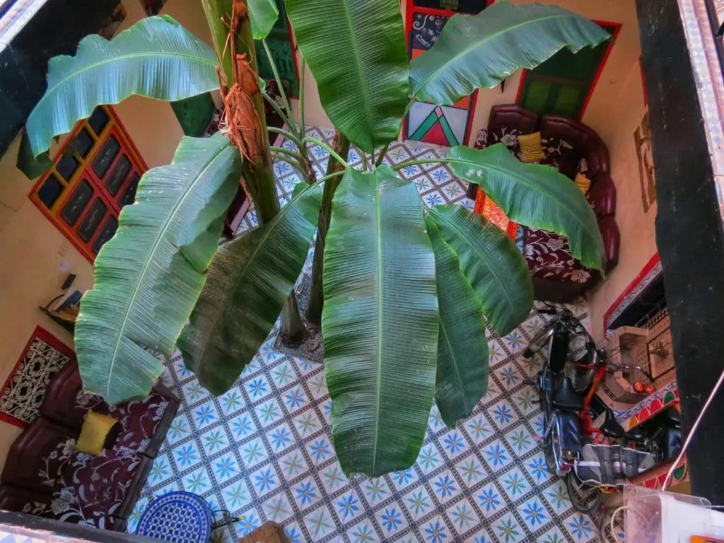 Foto - Riad Espagne