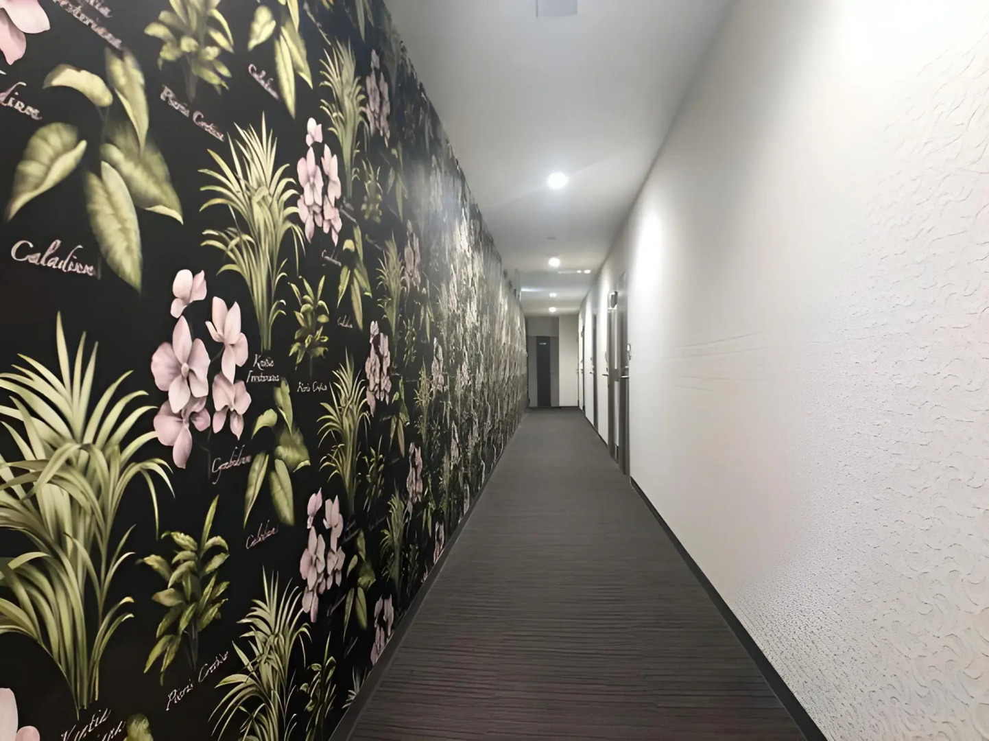 Foto - Tokyo Tourist Inn