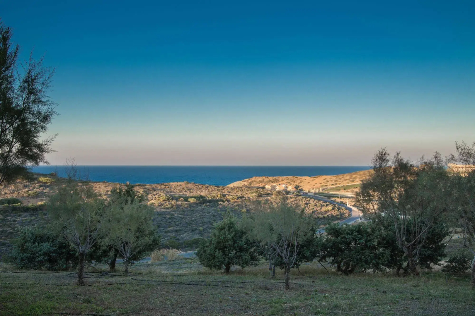 Foto - Iliatoras