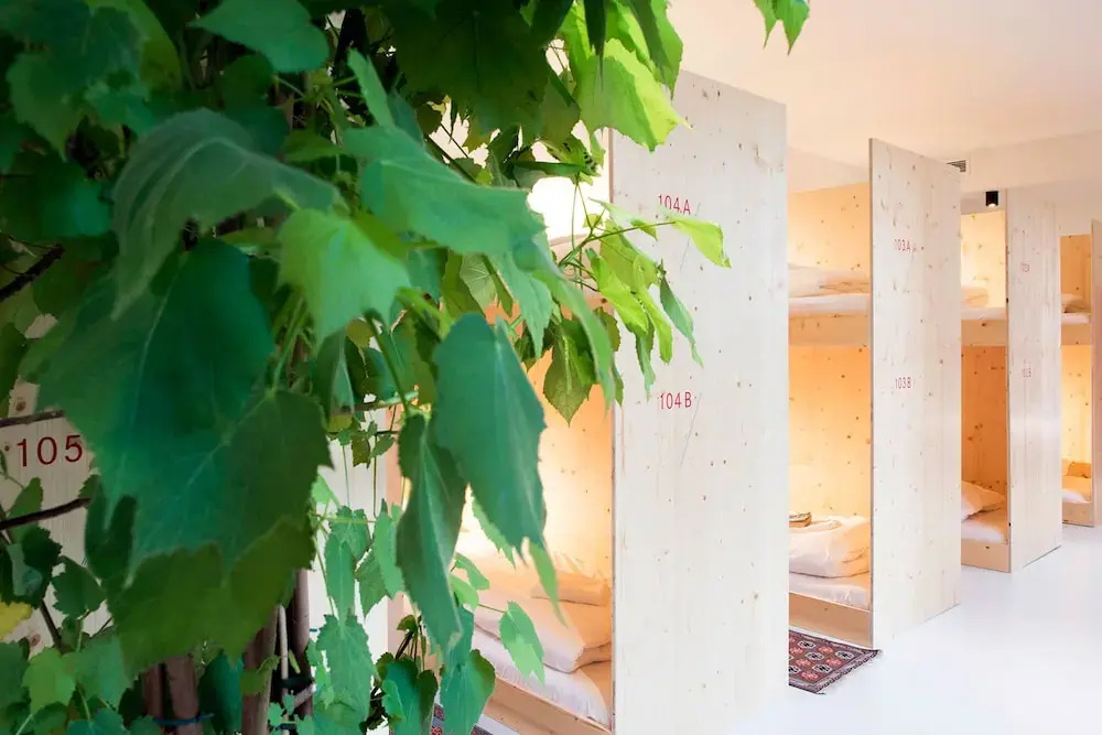 Photo - The Green Elephant Hostel & Spa
