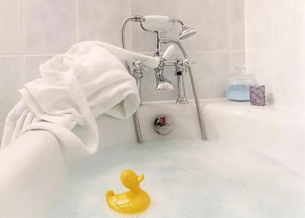 Foto - West Lodge Park