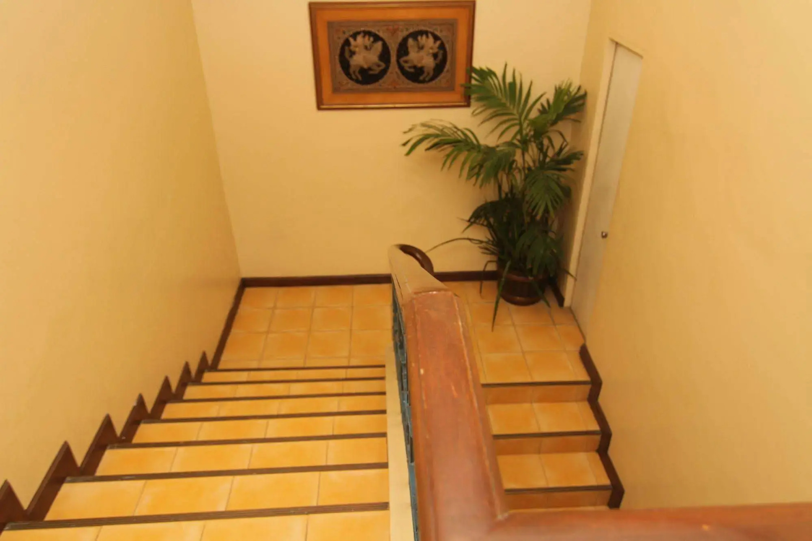 Foto - Casa Rosario