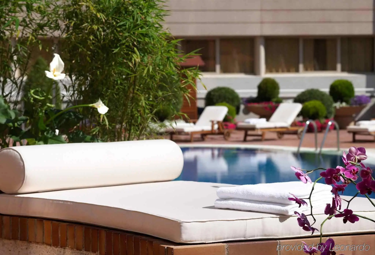Photo - Hotel Pullman Madrid Airport & Feria