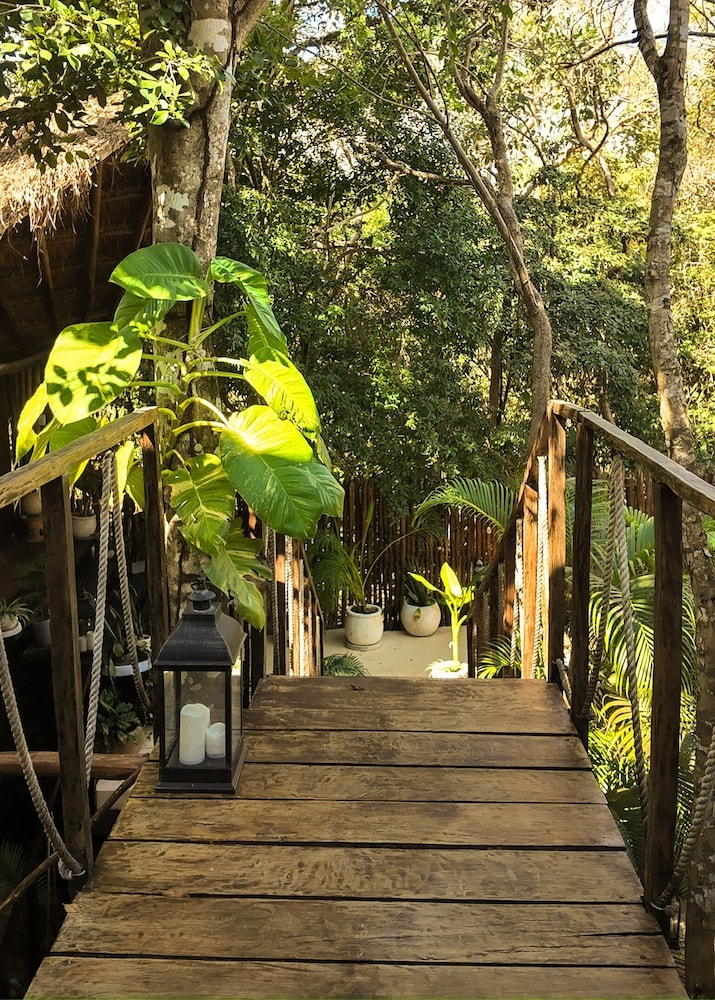 Foto - Ikal Bungalows