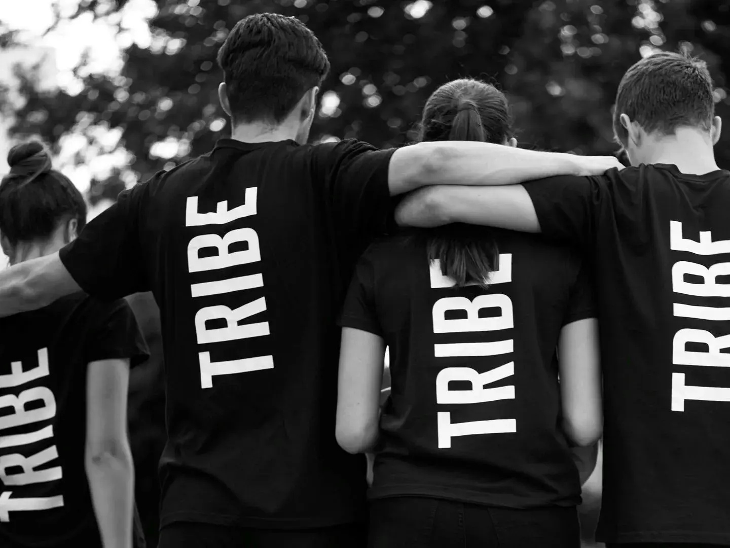 Foto - Tribe Carcassonne
