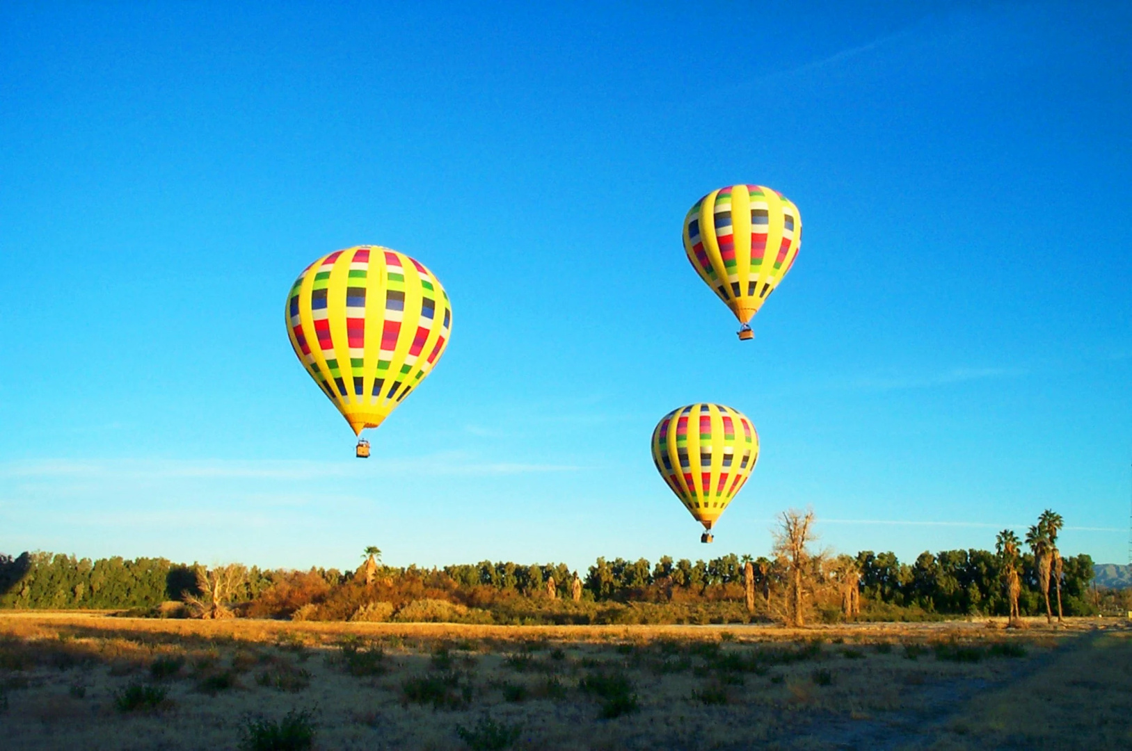 Foto - Hampton Inn & Suites Palm Desert