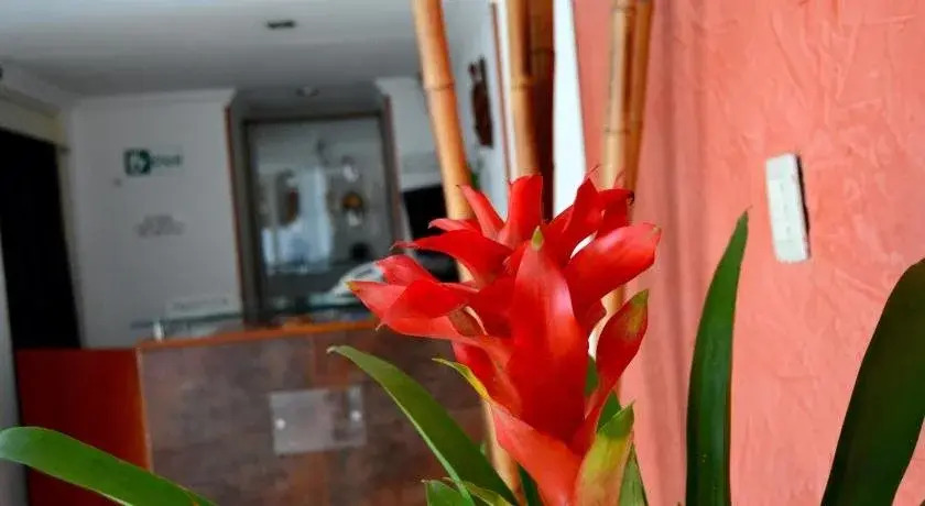 Photo - Hotel Calle 112