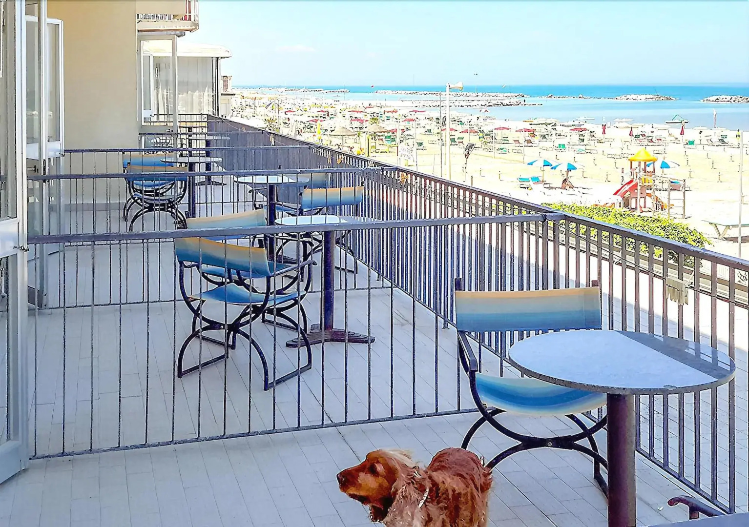 Foto - Nautic Beach Hotel