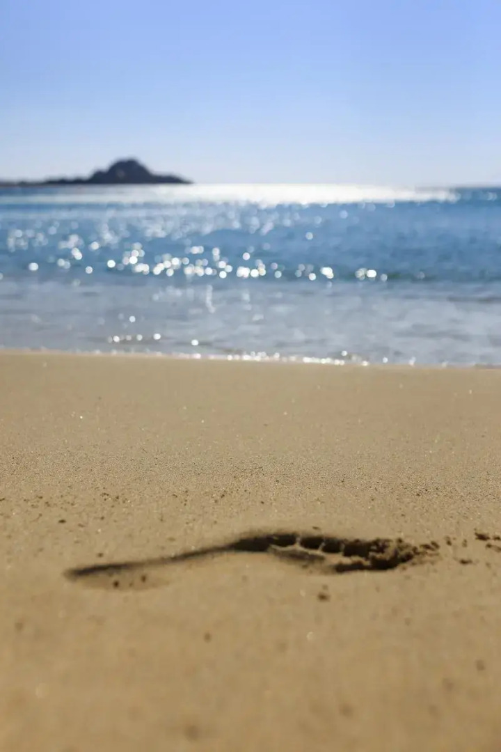 Foto - Petinos Beach Hotel