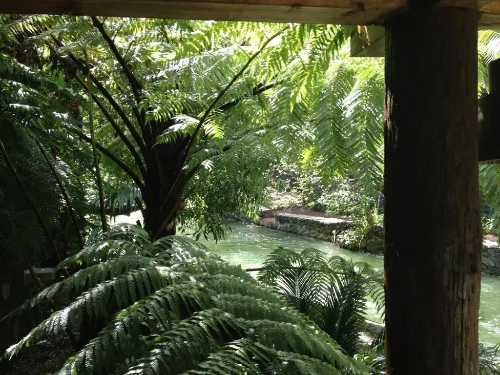Foto - Quinta da Mó