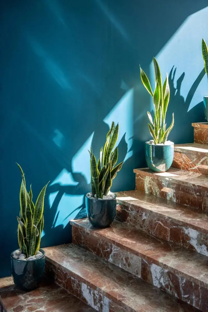 Foto - Ocean Drive Ibiza