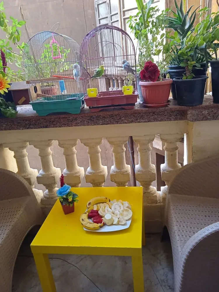 Photo - New Hostgram Hotel