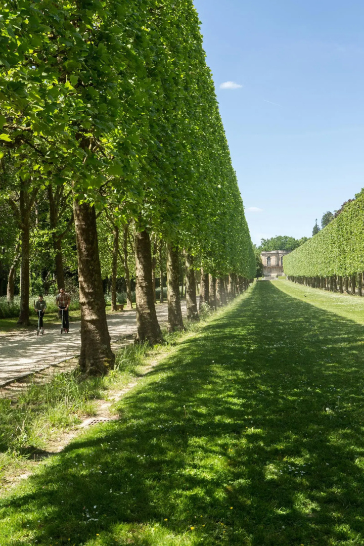 Photo - ibis Styles Sceaux Paris Sud