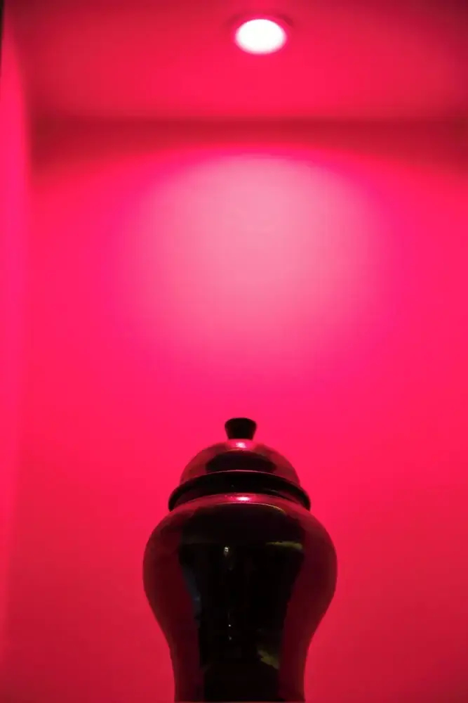 Foto - Riad Tislite & SPA