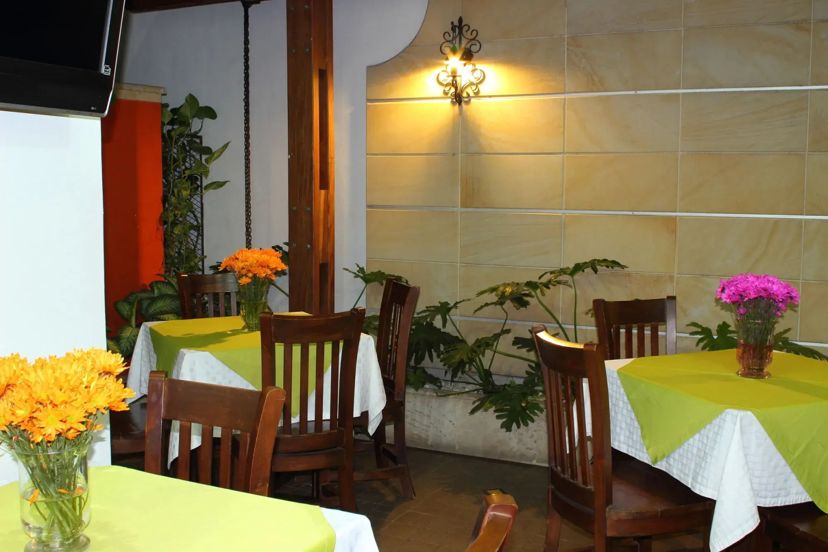 Foto - Hotel Terraza San Antonio